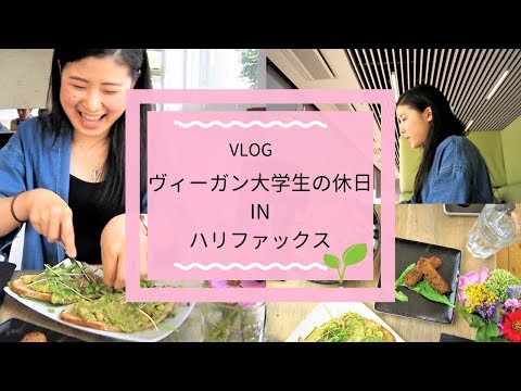 ヴィーガン大学生の休日 in ハリファックス【カナダ留学 | VEGAN｜VLOG】🌱Yuka