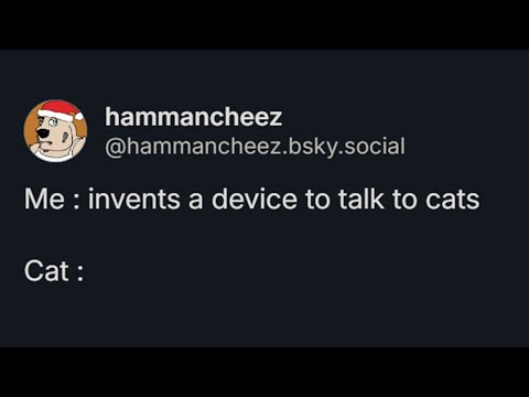 Invents a device to talk to cats