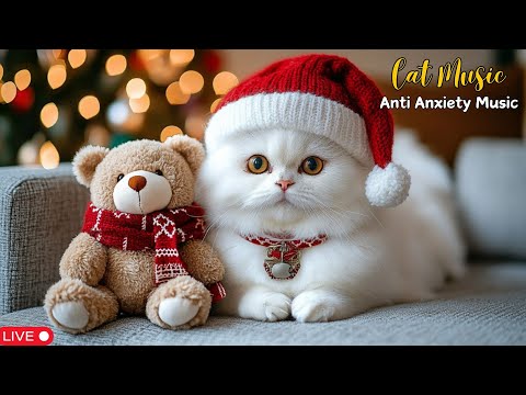 Merry Christmas  Music for Cat🎄Cure Separation Anxiety for Cat, Help Sleep Better And Reduce Stress