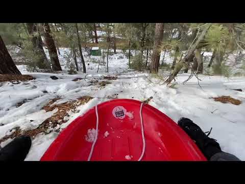 Snow Sledding at Mt. Pinos (Frazier Park)