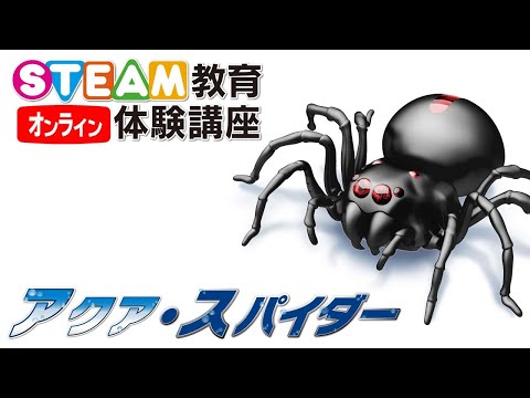 8/10 オンラインSTEAM教育体験講座