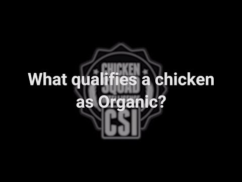 Clip: Chicken Squad Intelligence™ -  What Qualifies a Chicken as Organic?