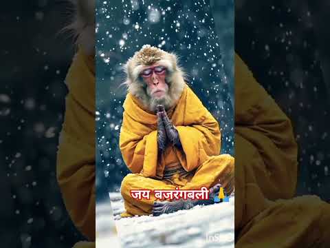 मंगल मूर्ती राम दुलारे🙏 🚩#bhajan #hanumanjistatus #hanumanjibhajan #jaishreehanuman#shorts