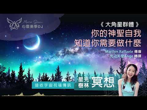 你的神聖自我知道你需要做什麼 ★ 星光樹林祝福冥想 ★ 讓直覺成為你的嚮導，就可以辨析真相，在黑暗中回歸自己内在的平靜 ◎ 宇宙高靈傳訊《大角星群體》