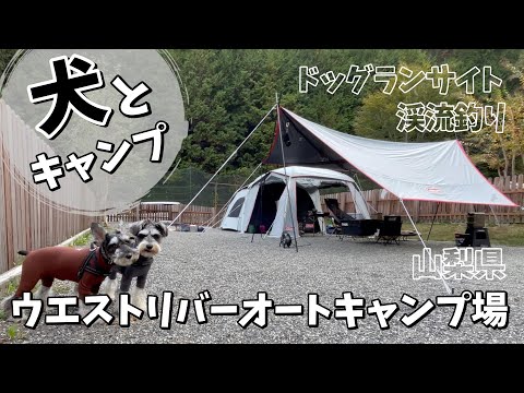 【犬とキャンプ】ウエストリバーオートキャンプ場でミニチュアシュナウザーとキャンプしてみたら最高だった