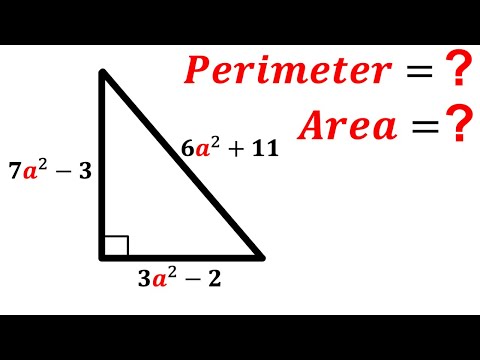 Can you find Perimeter and Area of the right triangle? | (Solve) | #math #maths | #geometry