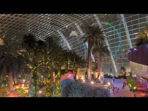 01- lifestyle - 00015 - Flower Dome @ Gardens by the Bay Singapore Top 20 Weekend Activities!