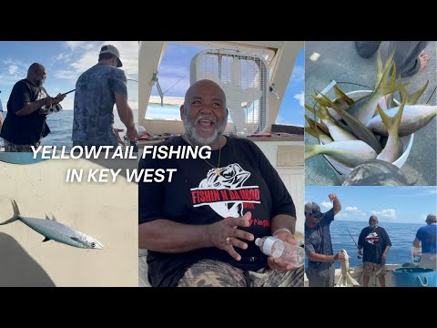 YELLOWTAIL FISHING IN KEY WEST#fypyoutube #fishnfun #fishinglife #fishing #yellowtail #explorepage