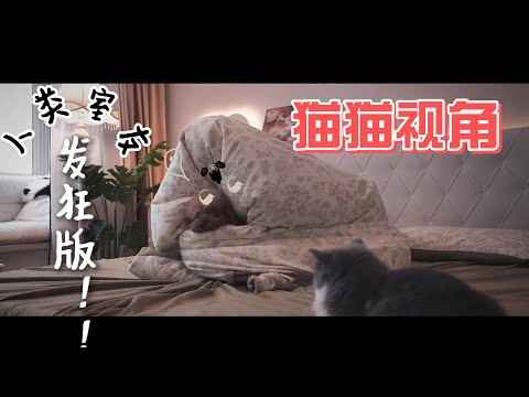 猫猫眼中我的宅家日常 终于把这猪肝色门改掉了！！！你们猜我到底刷完了没有