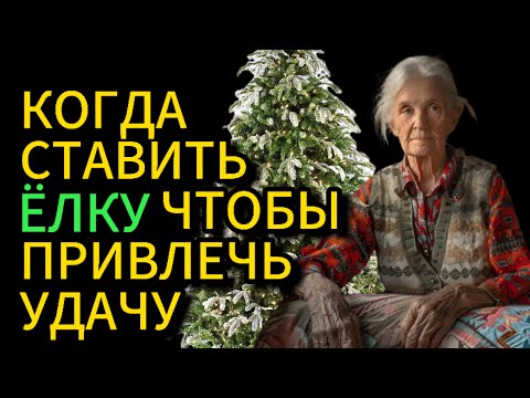 Нарядите елку в эти даты и весь 2025 год будет удачным