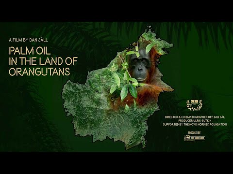 Palm Oil in the Land of Orangutans | Trailer | Available Now