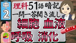 【中2理科一問一答②】細胞・呼吸・血液・消化／聞き流し／図解あり