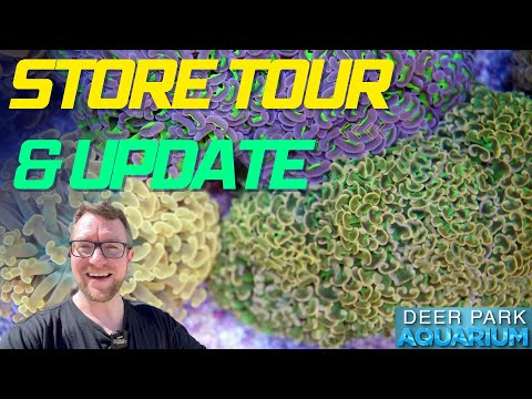 Deer Park Aquarium - Store Tour & Update!