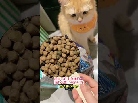 我养猫，生活要好；我妈养猫，活着就好 猫咪  蓝挚就是蓝馔 就要随心地花BlueBuffalo蓝挚猫粮