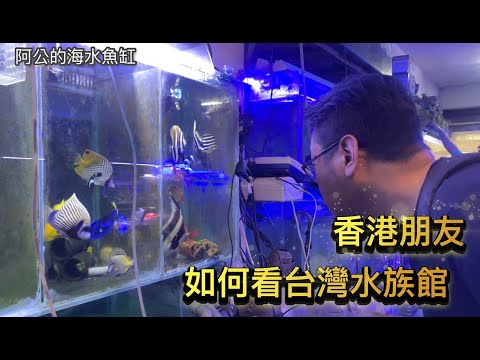 Found an aquarium with special fish species - Grandpa's saltwater fish tank