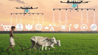 Top 10 Agritech Startups Empowering Indian Farmers