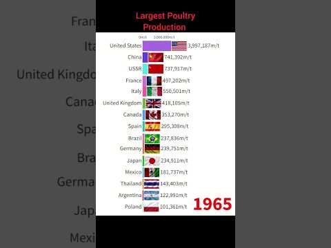 Top 15 Largest Poultry Production Countries In The World #shorts