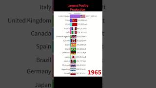 Top 15 Largest Poultry Production Countries In The World #shorts