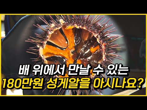 준비물 180만원, 대자연 태즈매니아 씨푸드 크루즈 투어