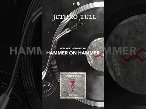 Jethro Tull – Hammer on Hammer #shorts #rokflote #jethrotull