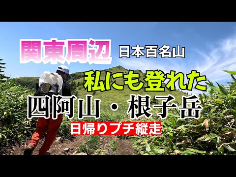 【日帰り登山】登山初心者や初めての登山におすすめ。関東周辺にあった！高山植物と緑の大地を求め夏の四阿山・根子岳プチ縦走してきた。菅平牧場登山口から出発