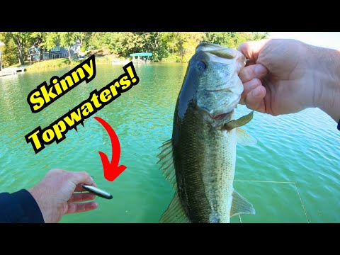 The Perfect Topwater For Clear Water! And Small Baitfish!