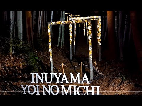 【Bamboo Light　YOI NO MICHI（宵の道）】　竹灯りアートで照らされた道を歩く　愛知県犬山市　2024年11月23日（土）　　Aichi-Japan