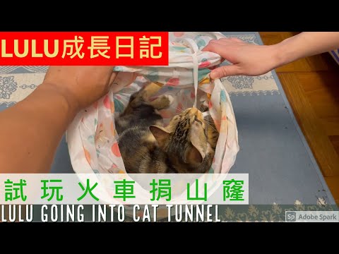 [LuLu成長日記] LuLu試玩火車捐山窿  [LuLu Diary] LuLu going into cat train tunnel ft#JB單車兄弟