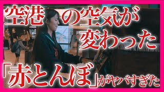 【感動】日本の童謡を空港で弾いたら外国人の反応は…？【 赤とんぼ ピアノ / ストリートピアノ / 山田耕作 / 唱歌 】