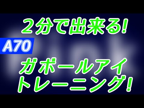 【Daily Eye Training】１回２分！スキマ時間に視力回復！vol.070