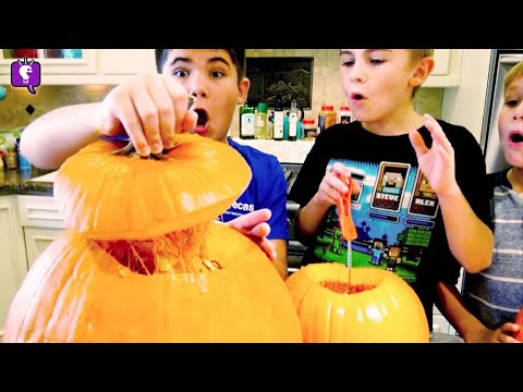 Homemade Pumpkin Pie! How to Make Pie with HobbyFamilyTV