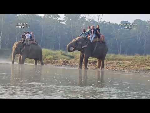 c21)尼泊爾 Nepal 奇旺國家野生動物園Safari Chitwan Park