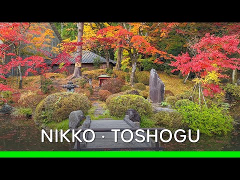 Day Trip to Nikko and Checking Out Toshogu in Autumn (Japan 🇯🇵 Vlog) | 日帰り日光旅