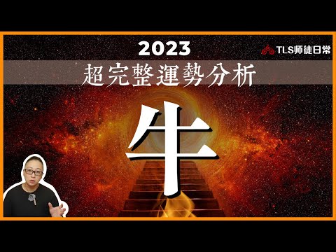 丑牛．2023運程詳批 ▍提升成功率！獨家分享你最有利的兩個時間｜今年最弱的是？