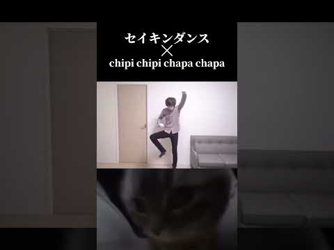 セイキンダンスとchipi chipi chapa chapaは流石に合わないか？www#shorts #セイキンダンス