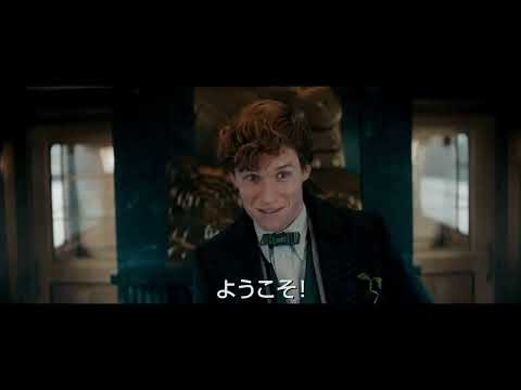 【4/8公開『ファンタスティック・ビーストとダンブルドアの秘密』15秒スポット（最高の魔法編）】