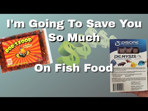 How To Save Money On Fish Food For Your Saltwater Aquarium Or Reef Tank - This Will Shock You