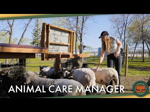 Working With Animals | Career Spotlight