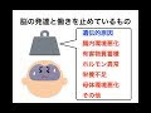 発達障害治療編　アイデス・クリニックセミナーNo002