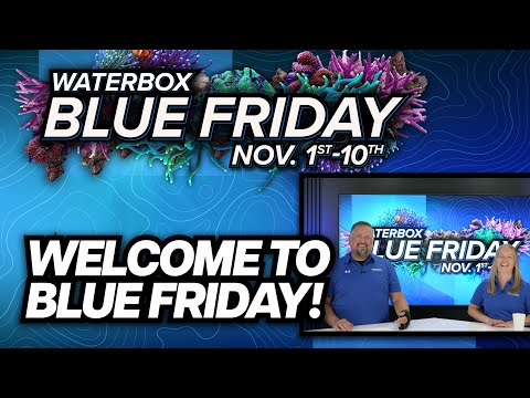 Welcome To Blue Friday! New Product Announcements.