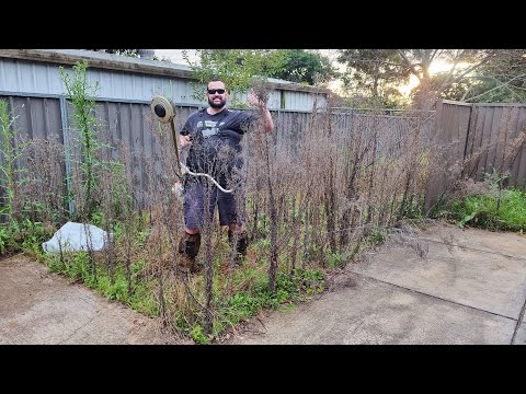 NUISANCE Neighbours Threaten Violence On Homeowner With Cancer After His Lawn Became Overgrown