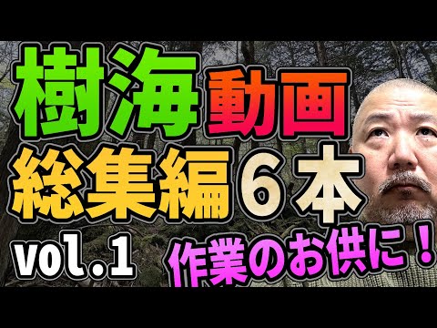 【樹海怪談】樹海動画・総集編！　６本まとめてゴー！【リアル現場主義!!】vol.1