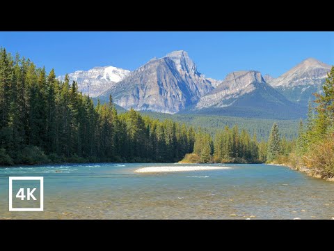 A Stress Free Zone - 4K Relaxing Sounds of a Flowing Mountain river - Water Sounds for Sleeping