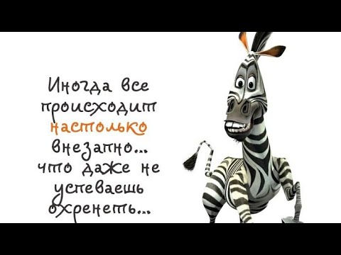 Юмор.Веселые анекдоты,шутки,приколы - Полоса белая, полоса черная... Веселая открытка для позитива.