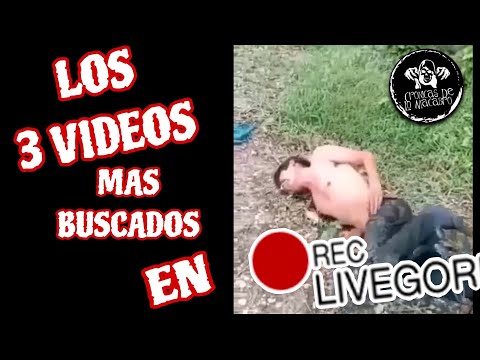 Los 3 Vídeos Más Buscados En LIVEGOR3 ☠️