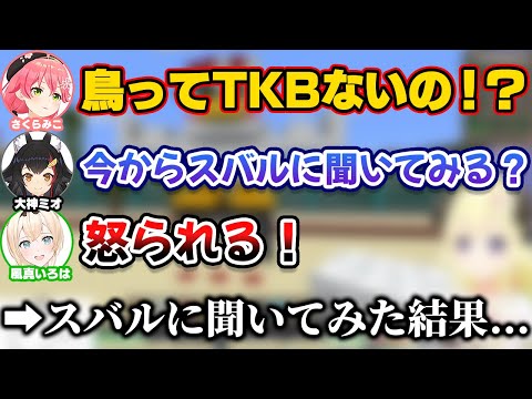 みこちにTKBの数を聞かれ、まさかの返答で一同を爆笑させるスバル【ホロライブ切り抜き/大空スバル/さくらみこ/角巻わため/大神ミオ/風真いろは/星街すいせい】