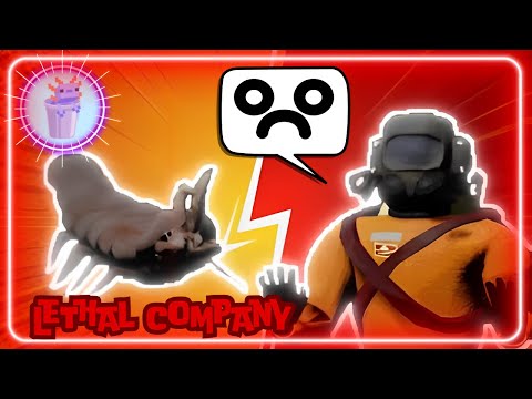 I Became Depressed From A single Bug | lethal Company With The Boys