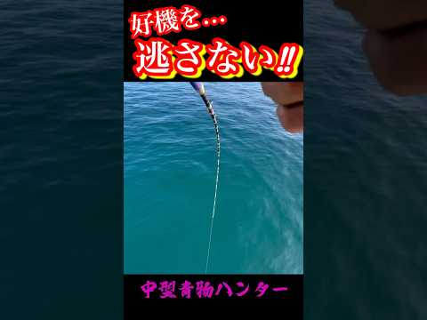 【技アリ】痛快ヒットで青物ゴリ巻き