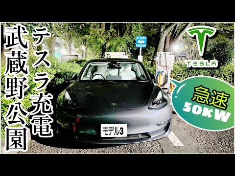 Teslaモデル3で行く| EV充電スポット#69 | 都立武蔵野公園【CHAdeMO急速】