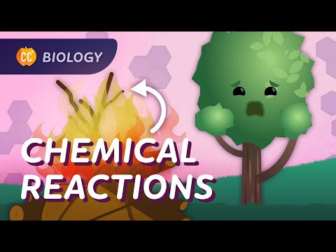 Chemical Reactions in Biology: Crash Course Biology #26